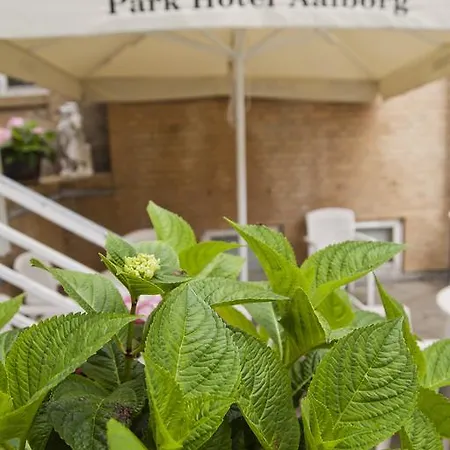 Minotel Park 3*